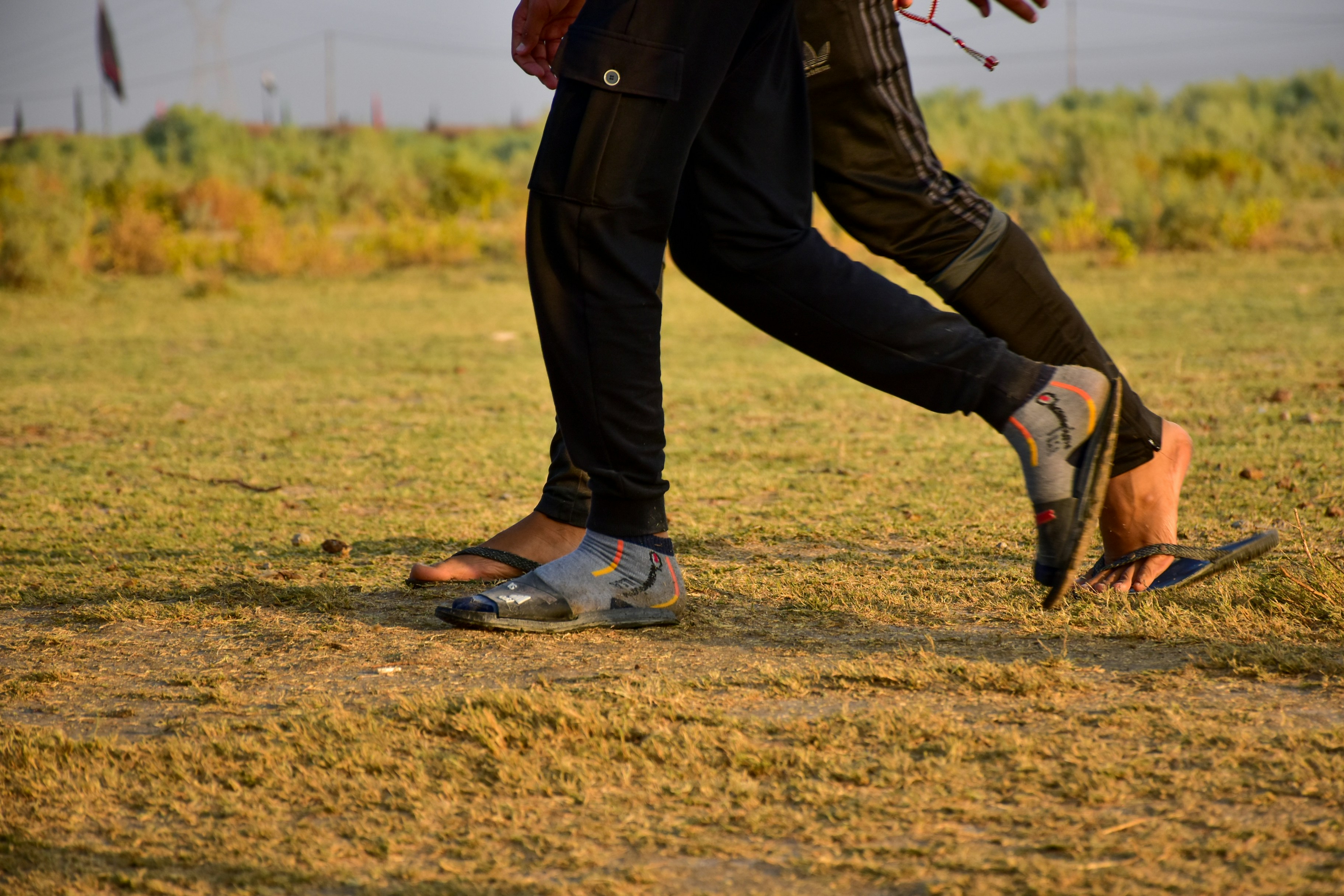 Virat Kohli News: Latest Updates on Cricket's Reigning King