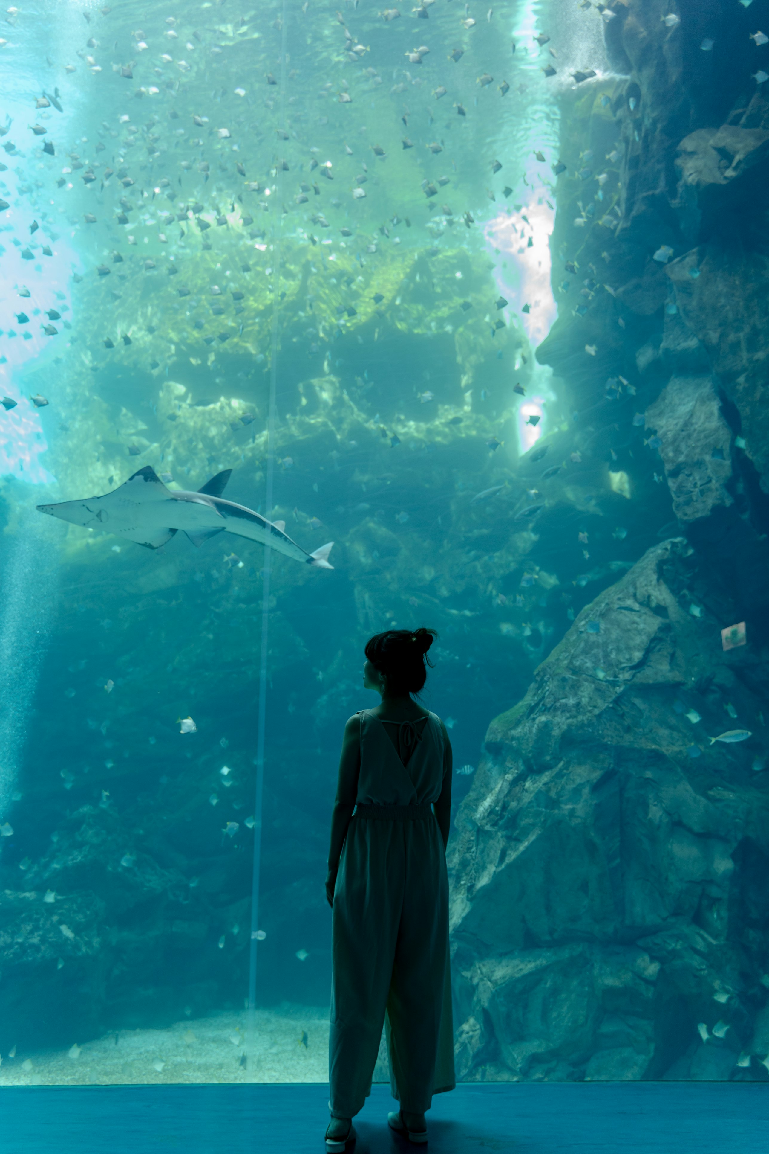 Person in black jacket standing in front of aquarium with fishes. Photo by Sam Chang.