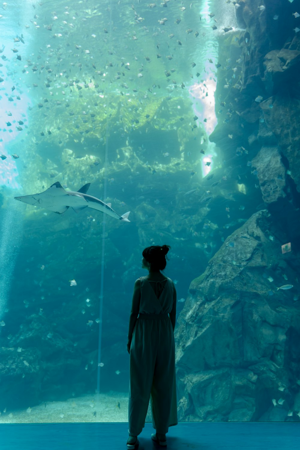 man in black jacket standing in front of aquarium with fishes