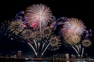 fireworks display during night time