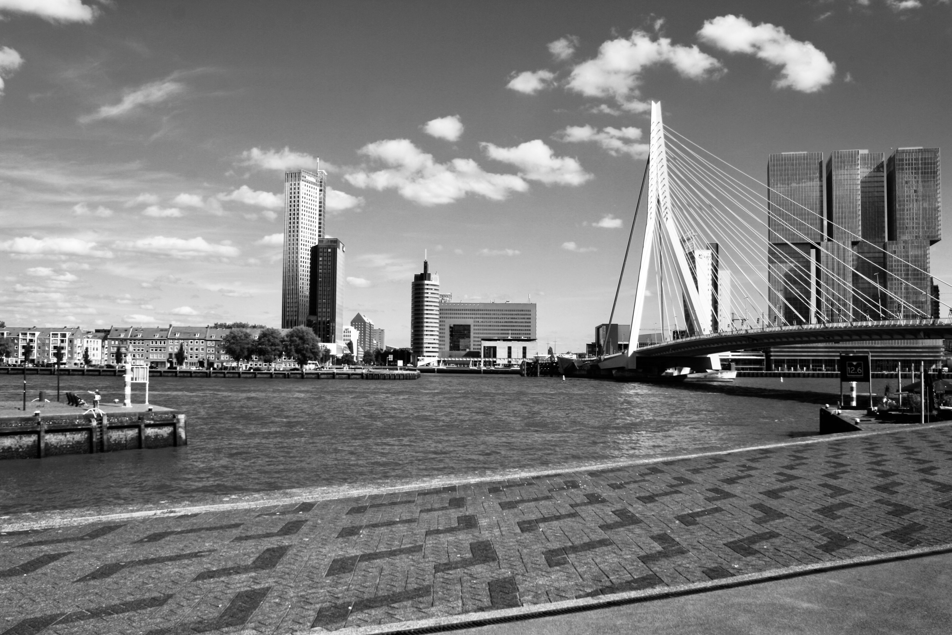 Grayscale photo of bridge near city buildings