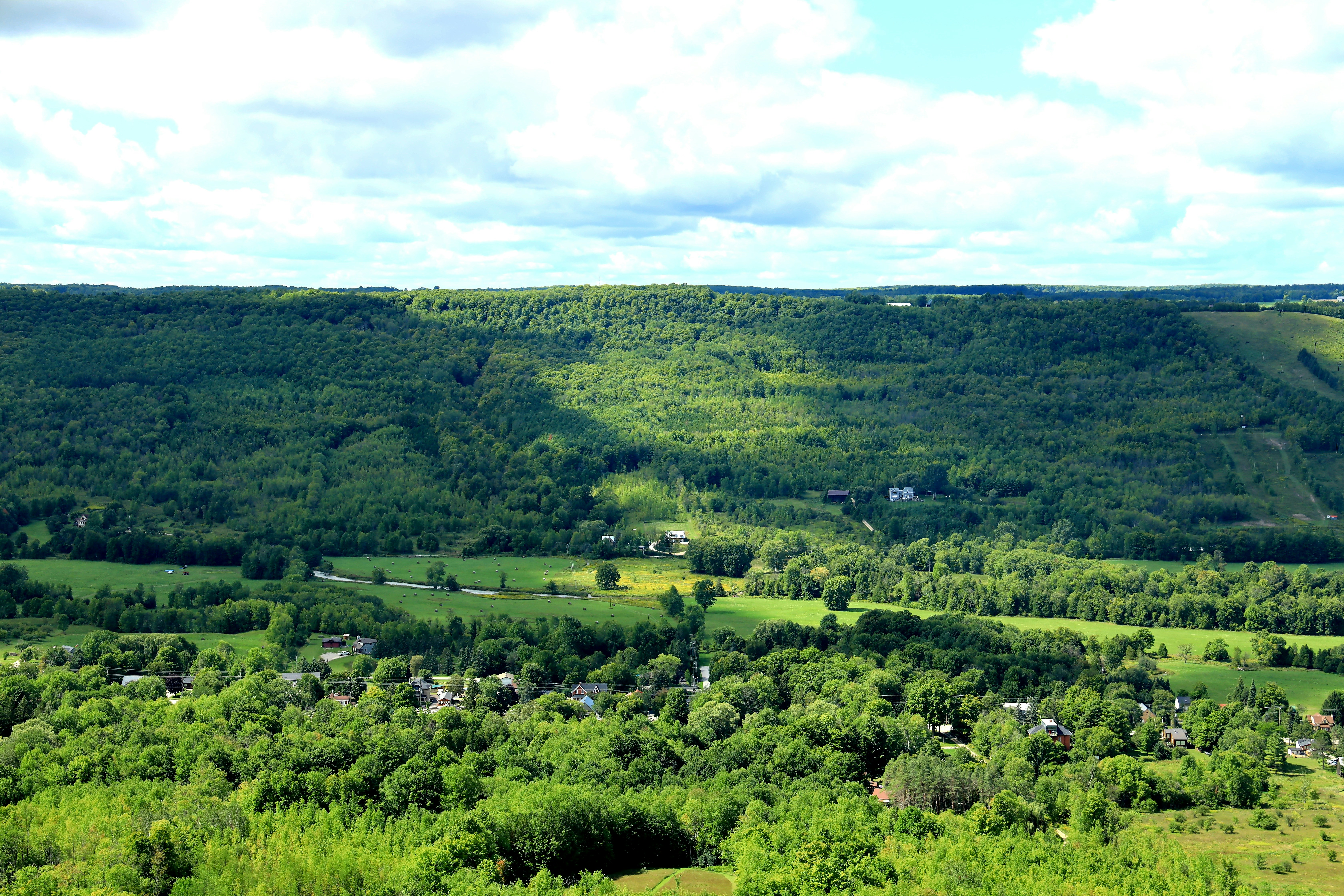 Photo by richardworks