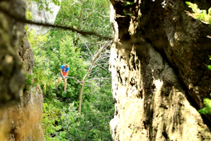 Team members collaborating on a rope access project amidst lush greenery.