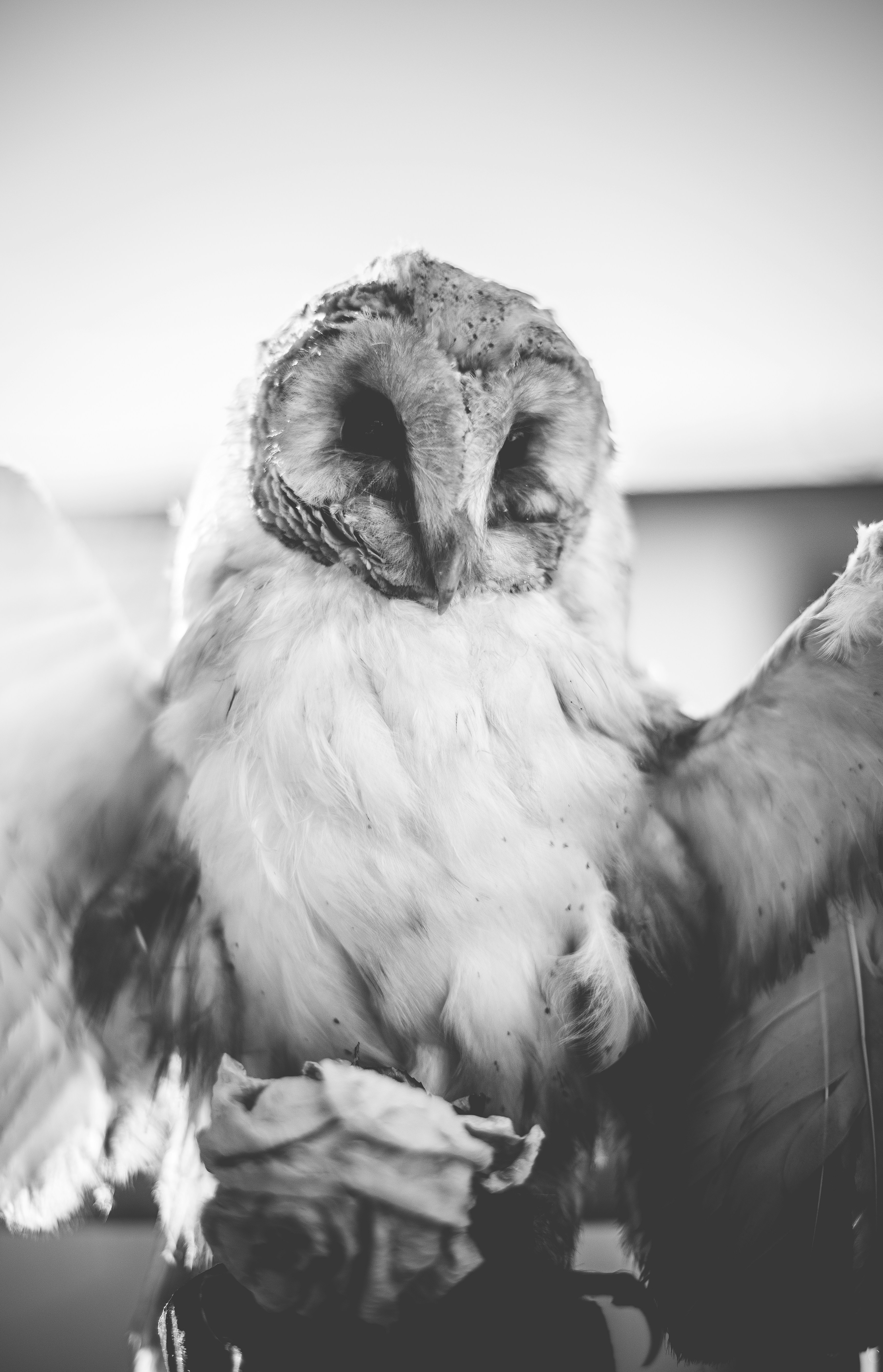 Photo by mrsunflower94