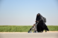 A woman dressed in a black niqab and abaya is pushing a stroller with a child seated in it. The setting is outdoors, alongside a road bordered by green grass under a clear blue sky. The woman carries a backpack, and the scene conveys movement.