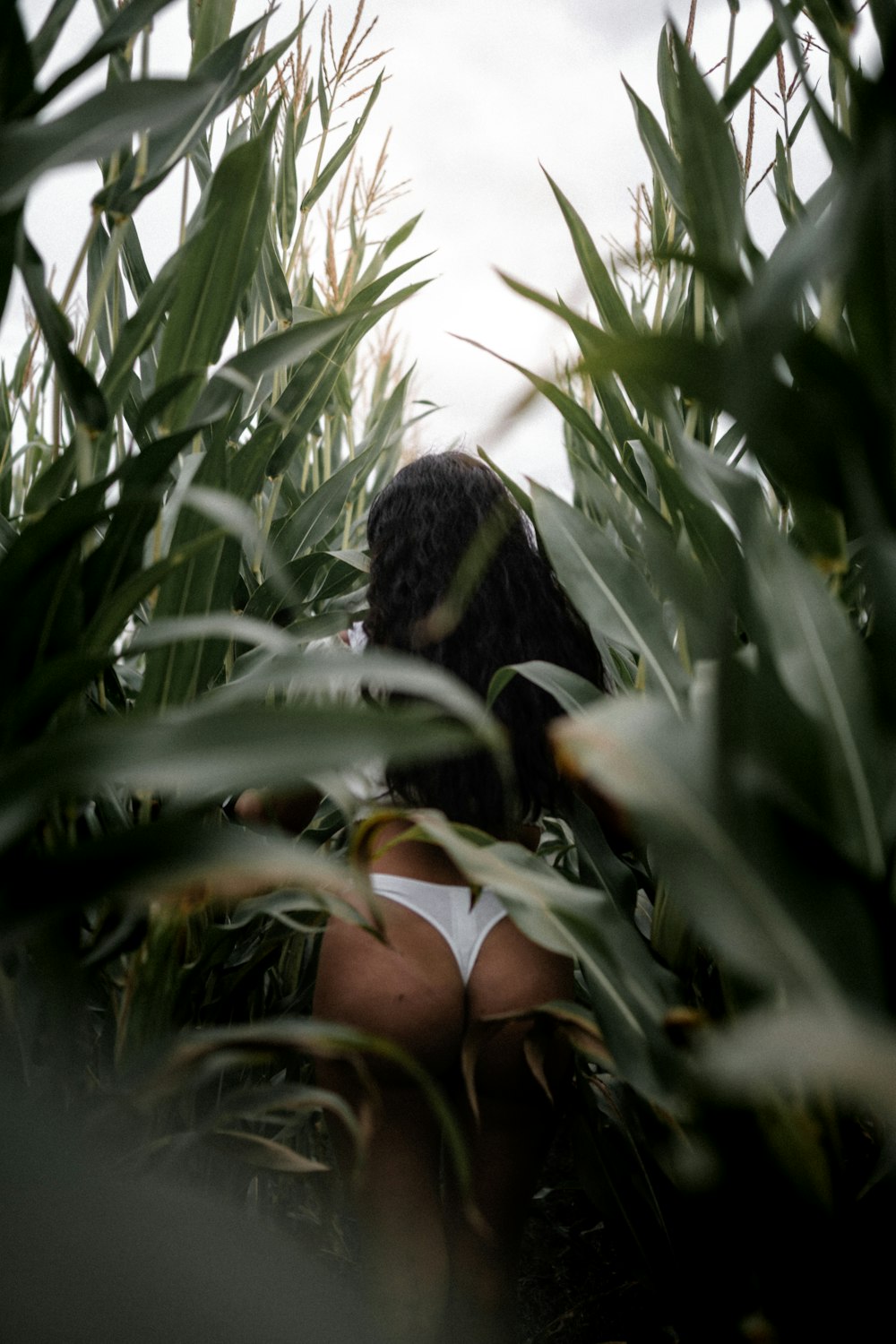 woman in black and white bikini bottom standing in the middle of green plants during daytime