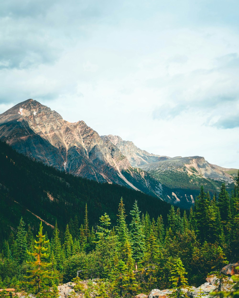 green pine trees near mountain under white clouds during daytime