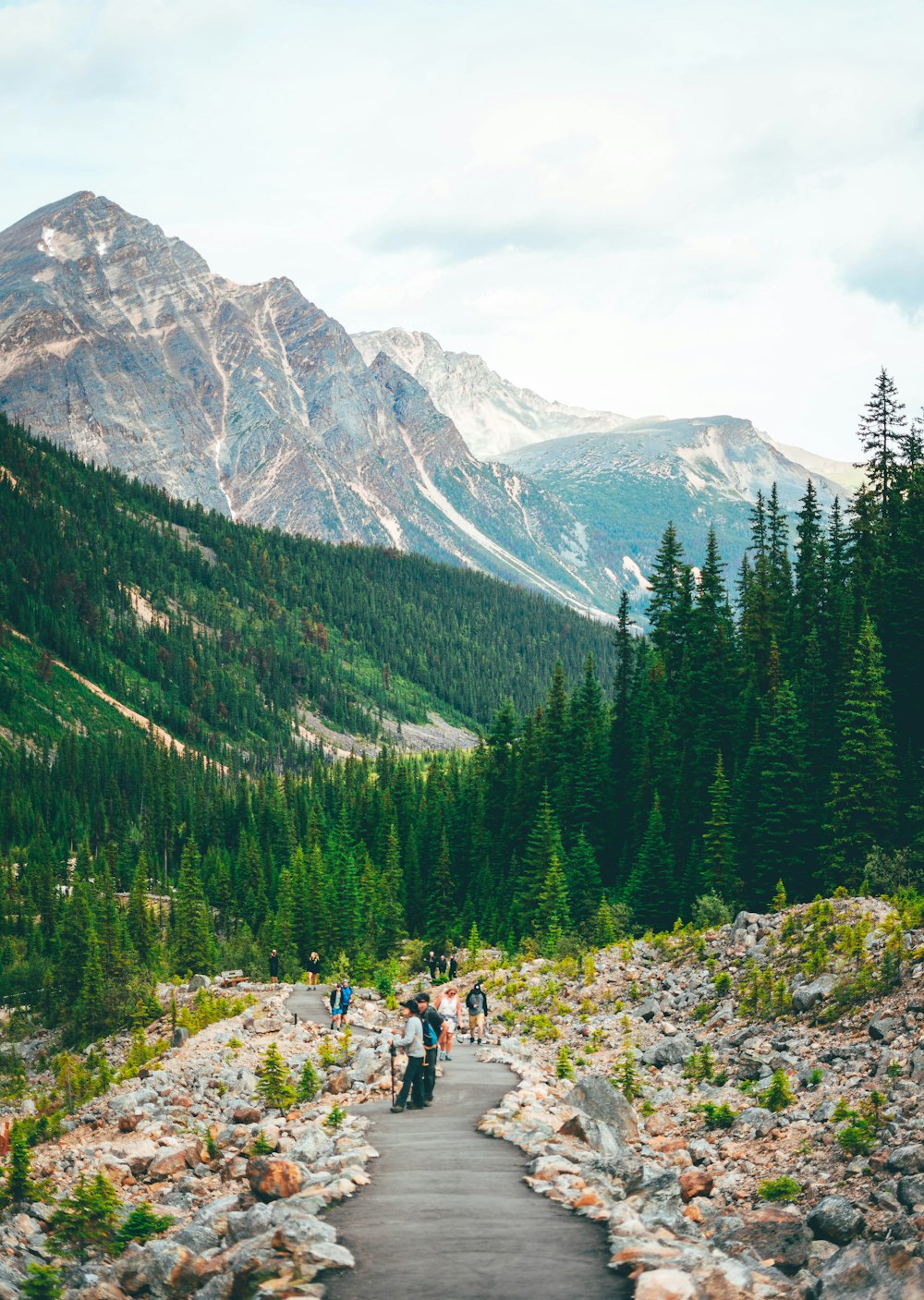 people sitting on rock near green trees and mountain during daytime