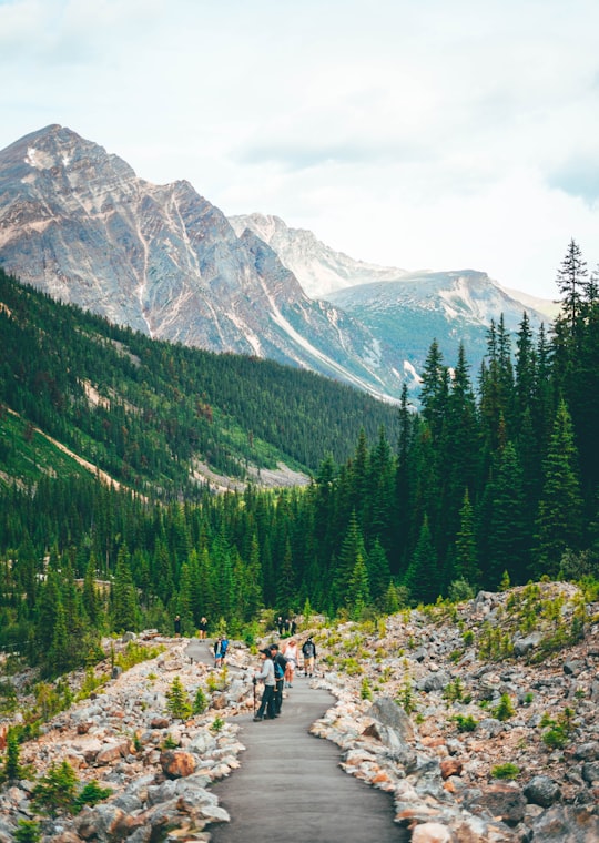 people sitting on rock near green trees and mountain during daytime in Mount Edith Cavell Canada