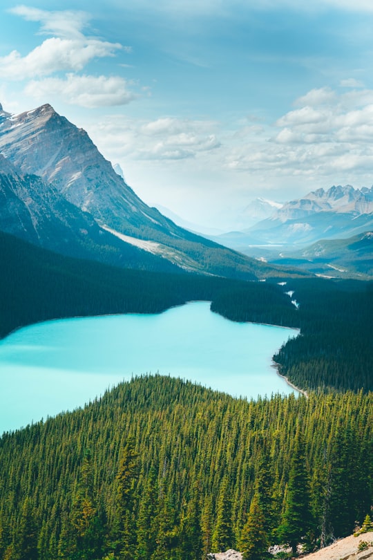 lake surrounded by green trees and mountains under white clouds and blue sky during daytime in Canadian Rockies Canada