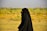 A person wearing a full black garment, possibly a hijab or abaya, walking outdoors in a grassy field with a blurred background featuring green and yellow foliage under a clear sky.
