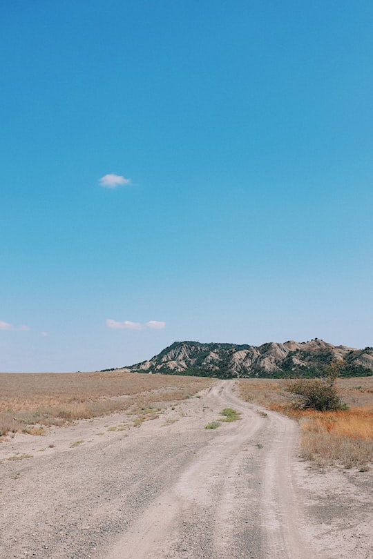 brown sand and green grass field during daytime in Vashlovani Georgia