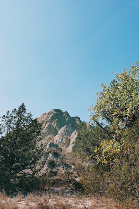 green trees near brown rocky mountain during daytime in Vashlovani Georgia