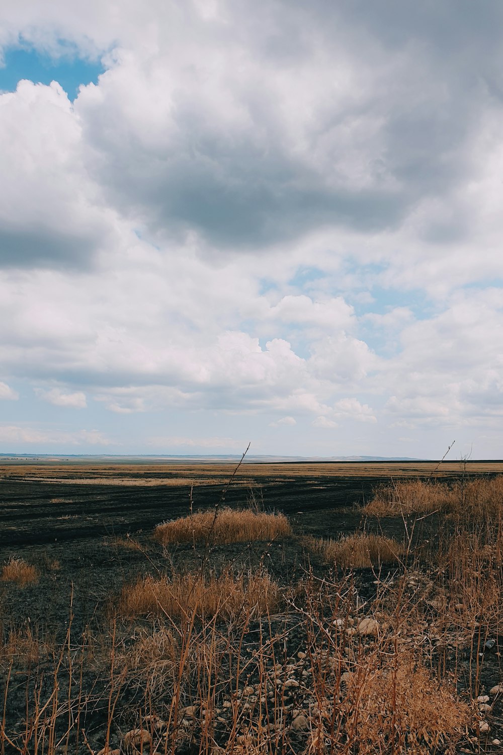 brown grass field under cloudy sky during daytime