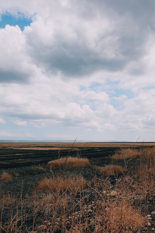 brown grass field under cloudy sky during daytime in Vashlovani Georgia