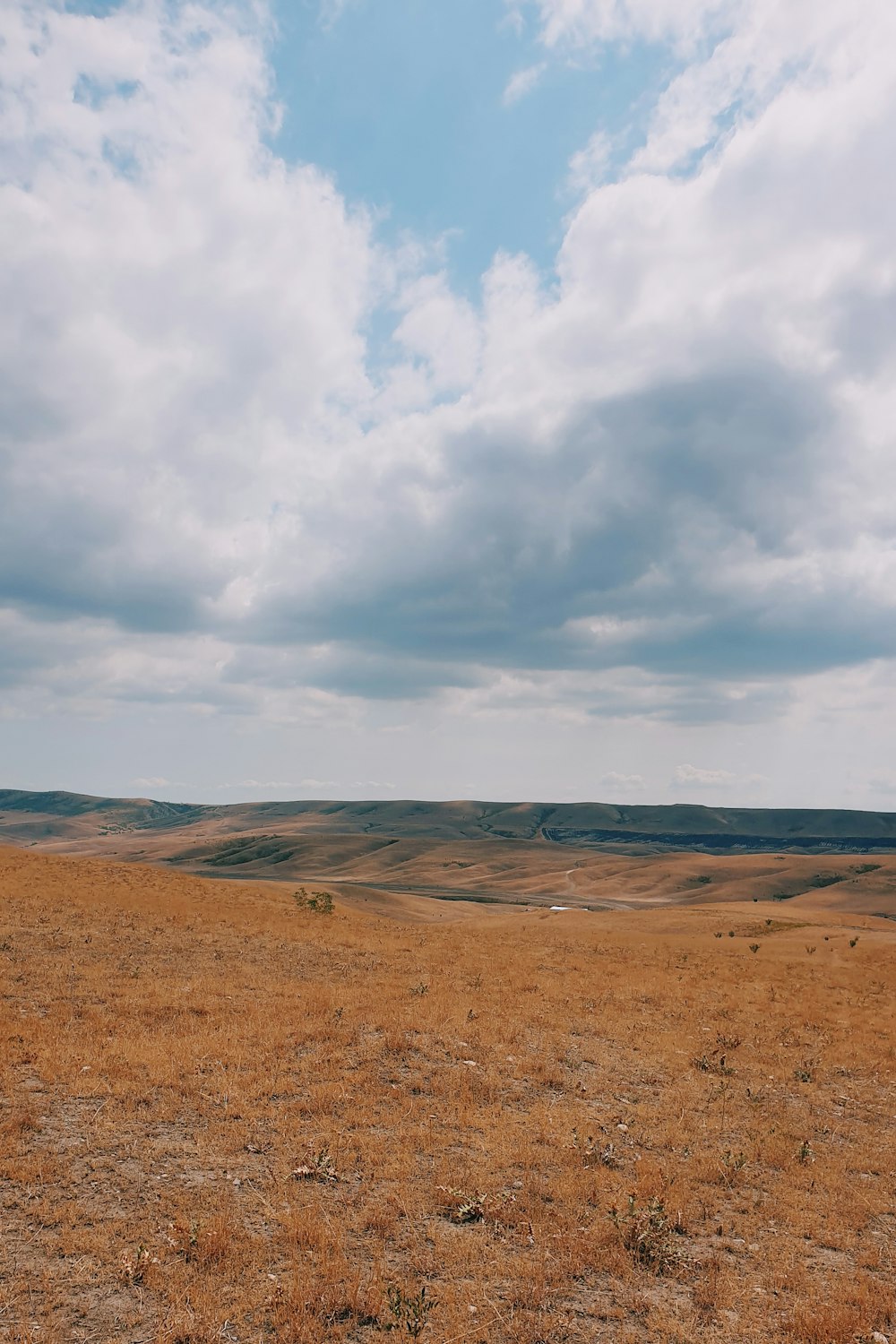 brown field under white clouds