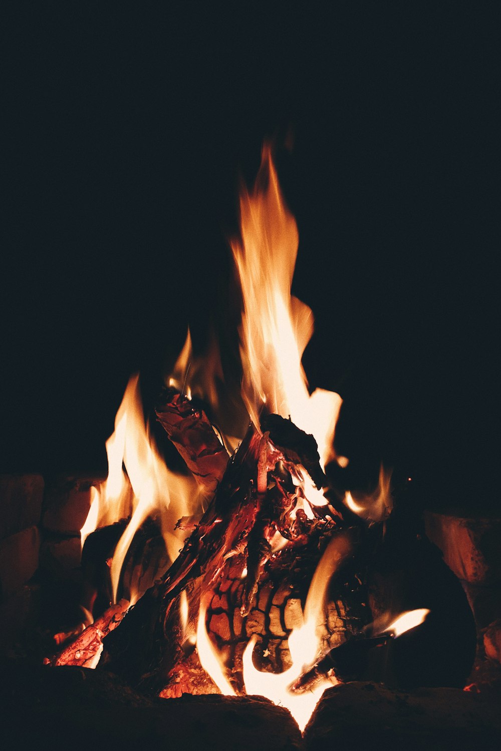 burning wood in black background
