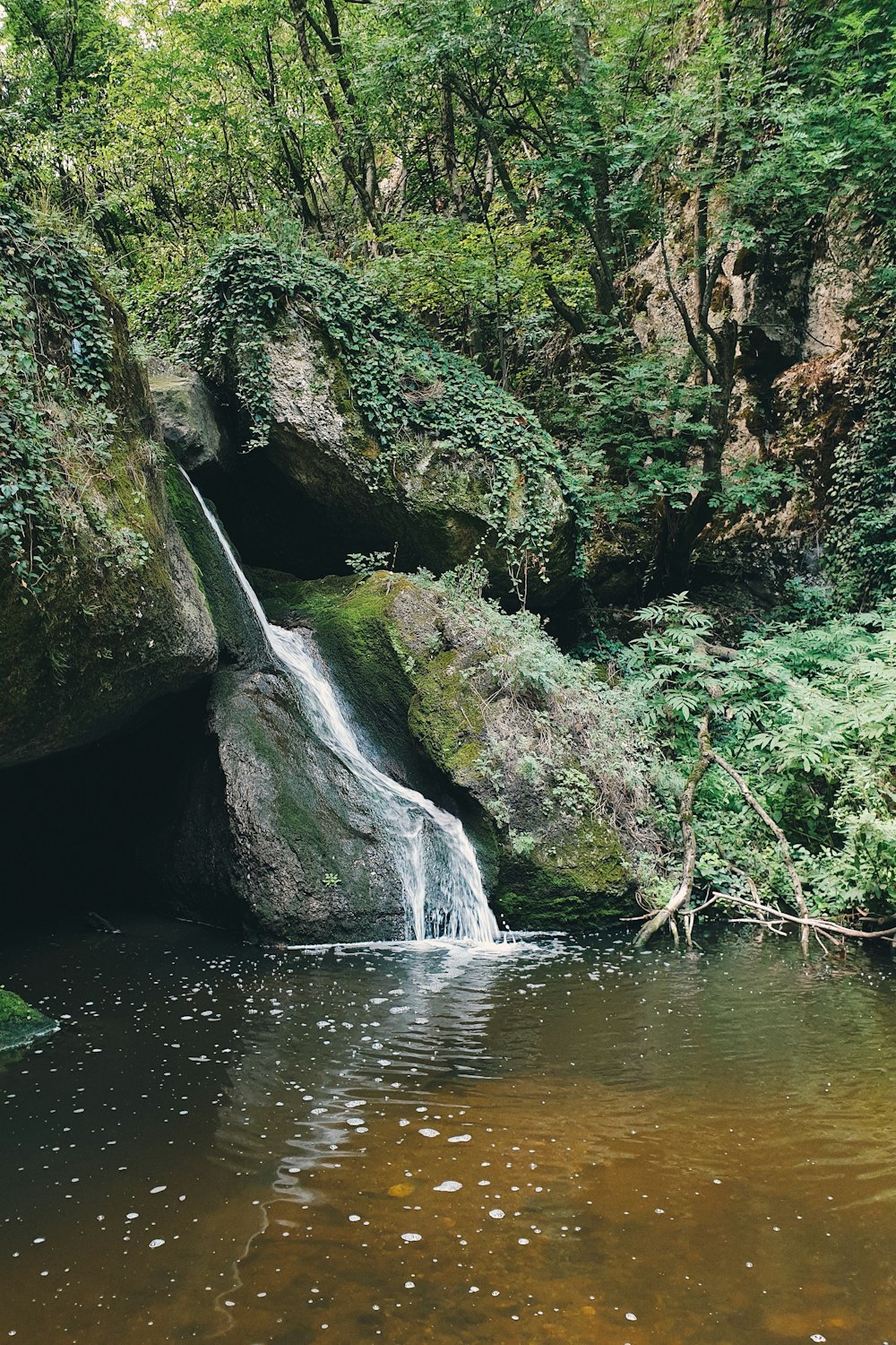 a small waterfall in the middle of a forest