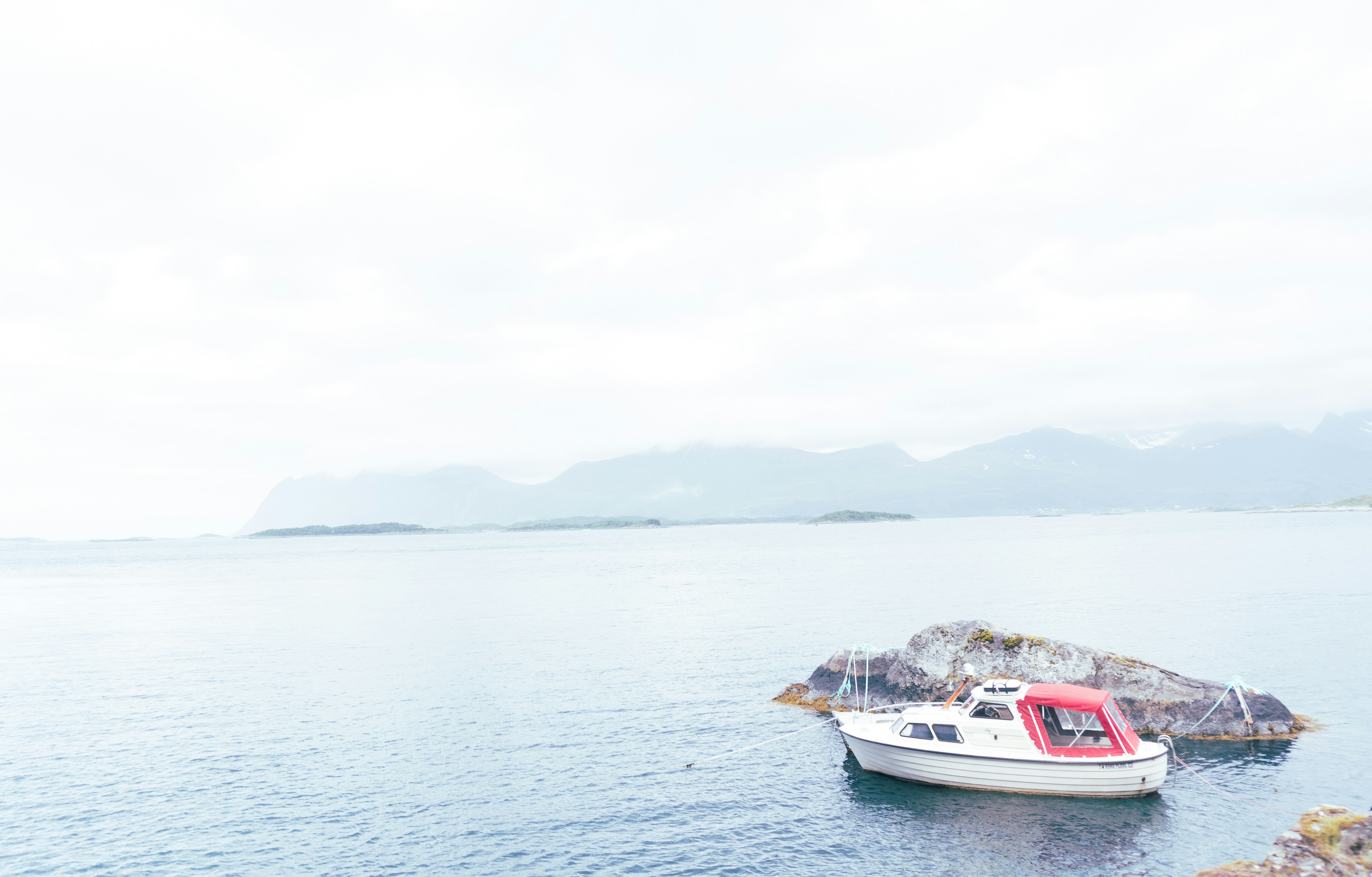 Photo by anantiscrawling