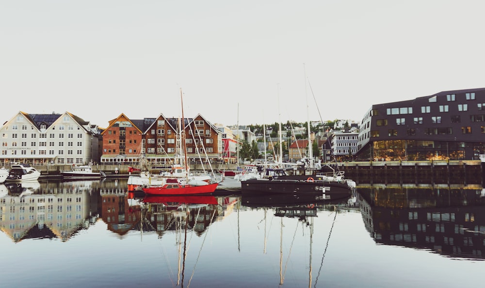 red and white boat on dock during daytime