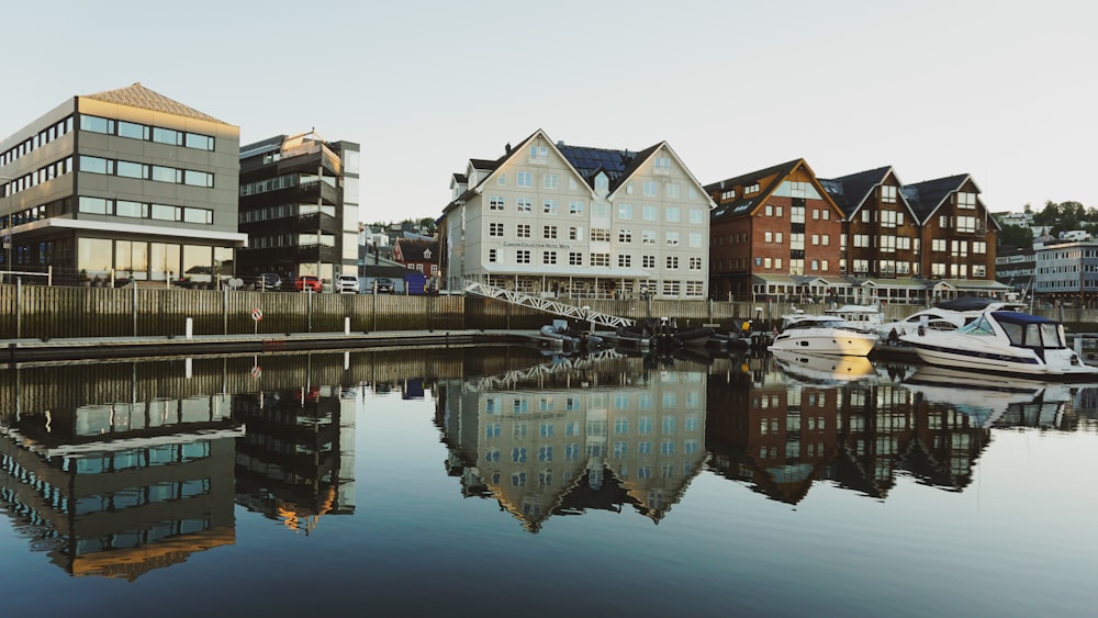 white and brown concrete building beside body of water during daytime