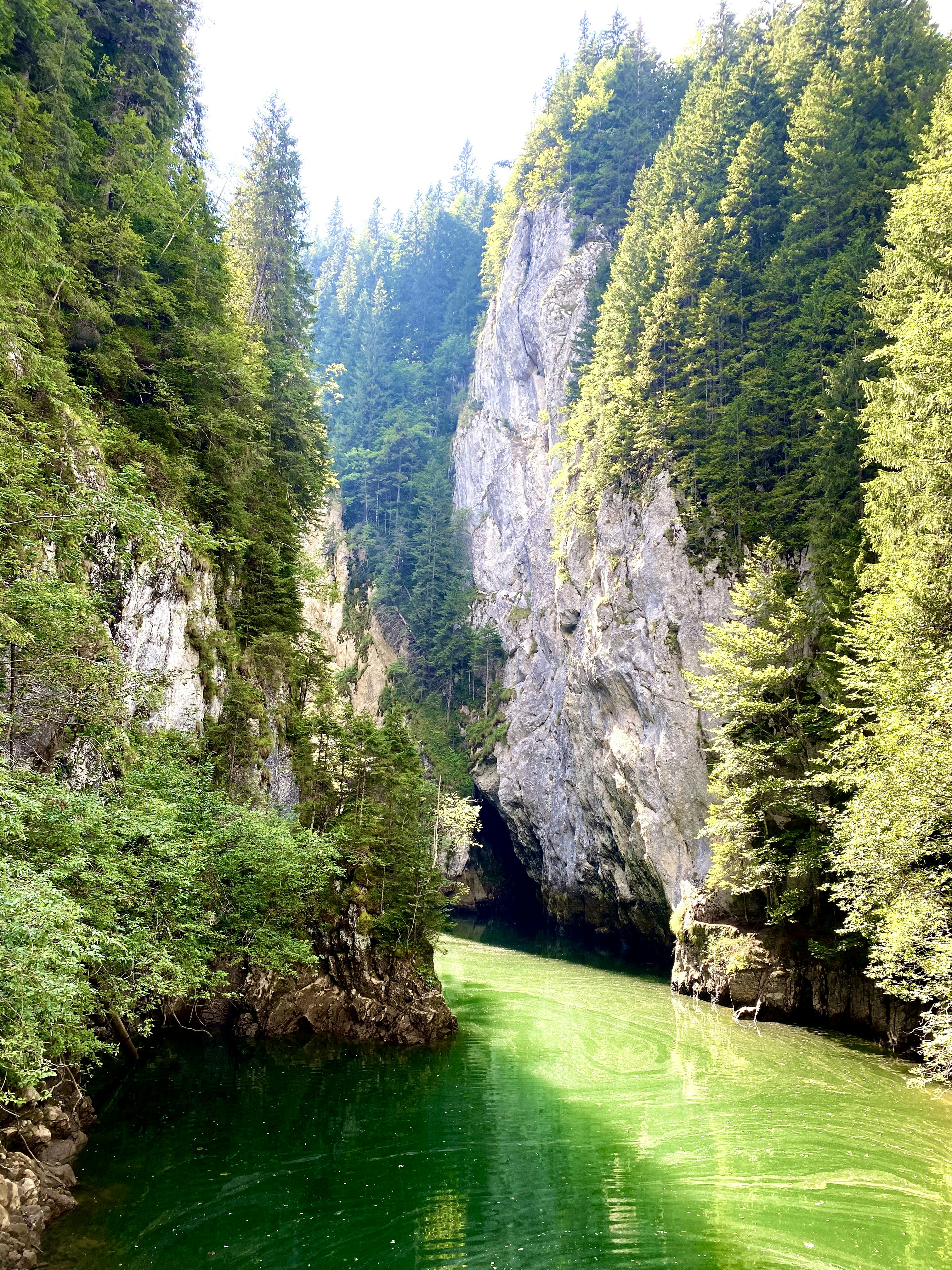 Photo by ralucarogojina