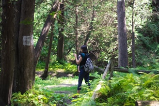 A peaceful person walking through a sunlit forest trail surrounded by green trees.
