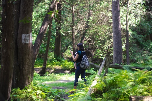 A peaceful person walking through a sunlit forest trail surrounded by green trees.