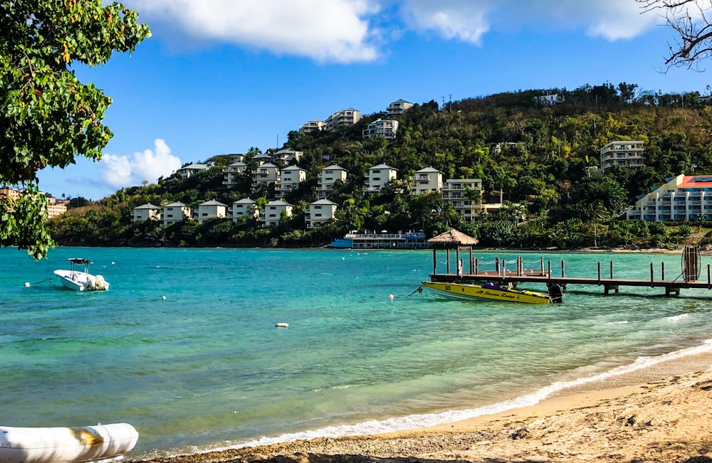 brown wooden dock on beach during daytime