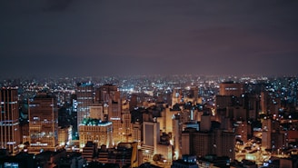 aerial view of city buildings during night time