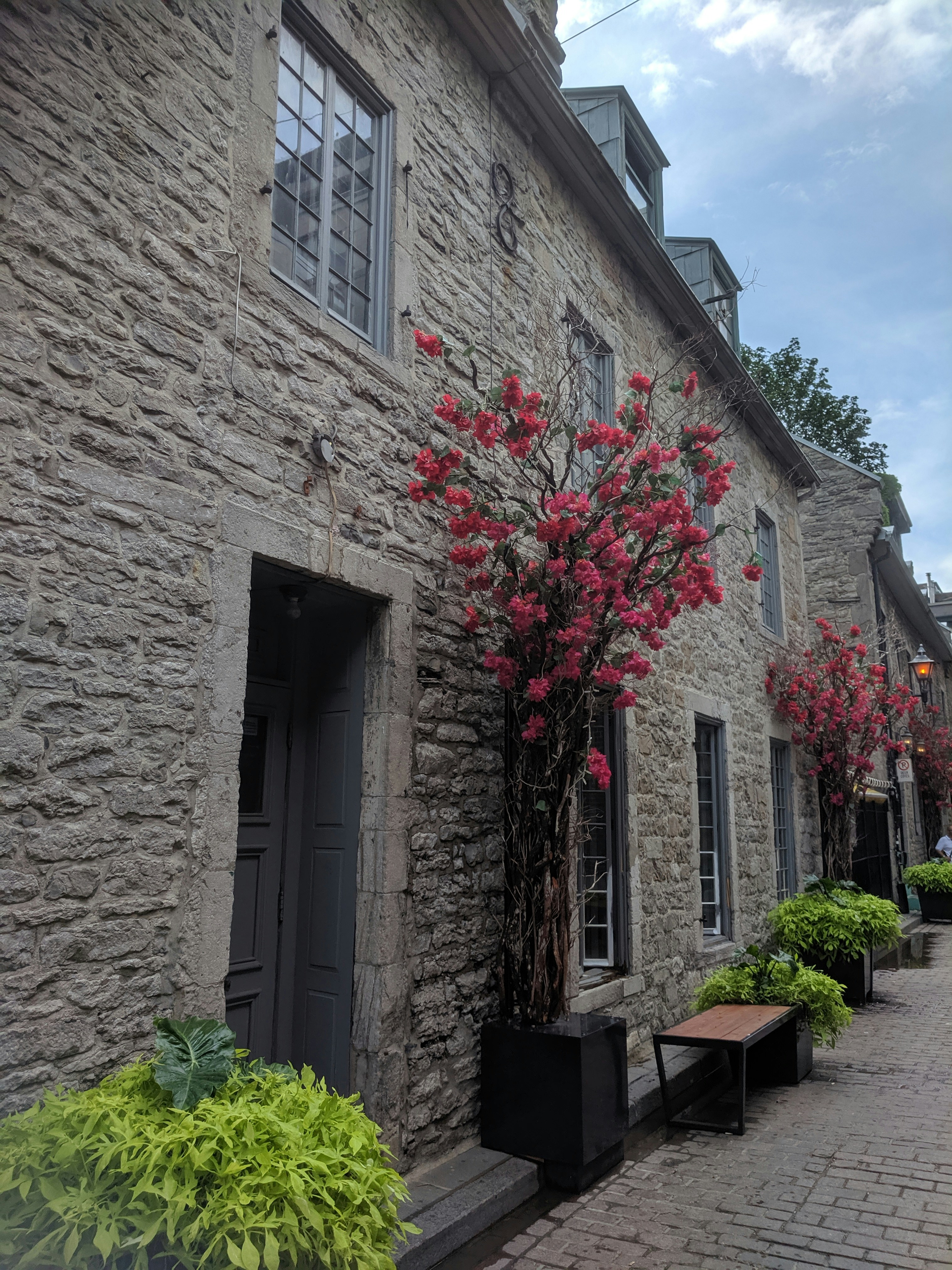 red flowers on brown brick wall