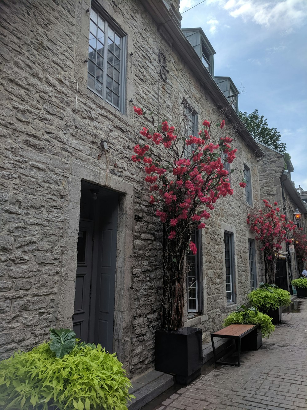 red flowers on brown brick wall