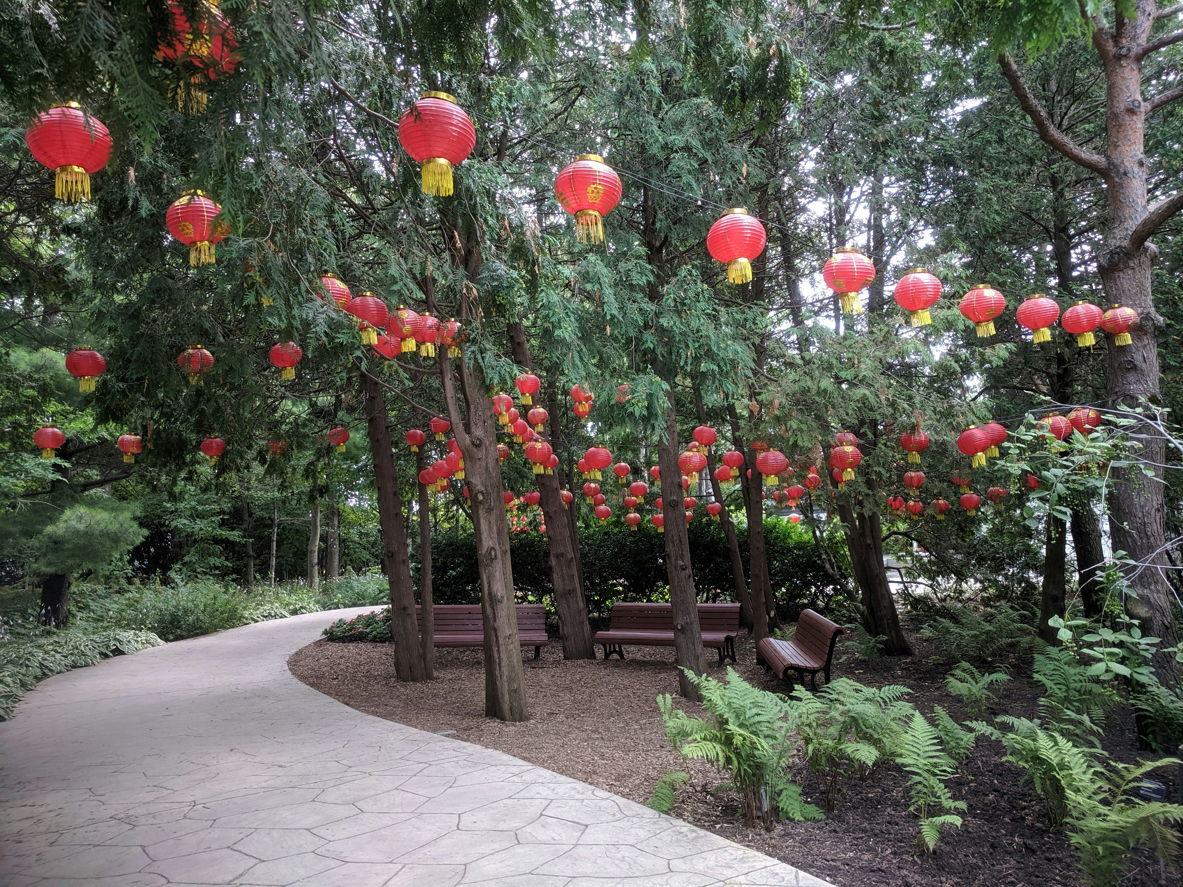 red and green plants on brown wooden fence profound teams background