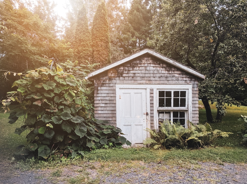 white wooden house in the woods