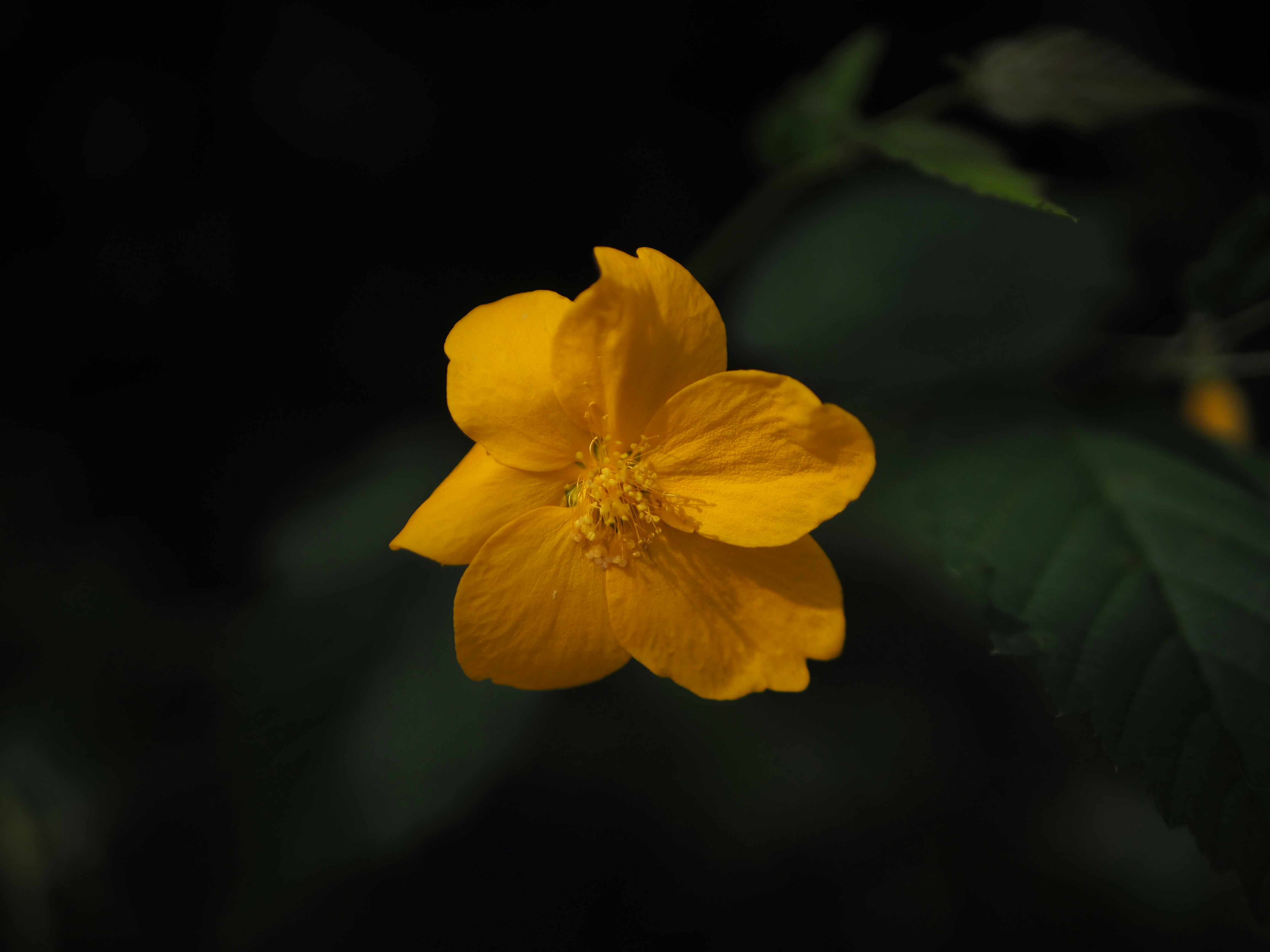 Photo by onesandzeros