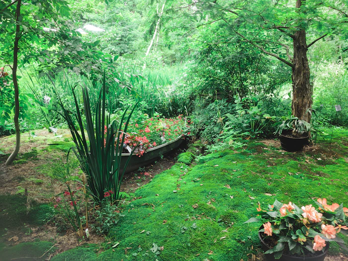 Vol aangeplante border