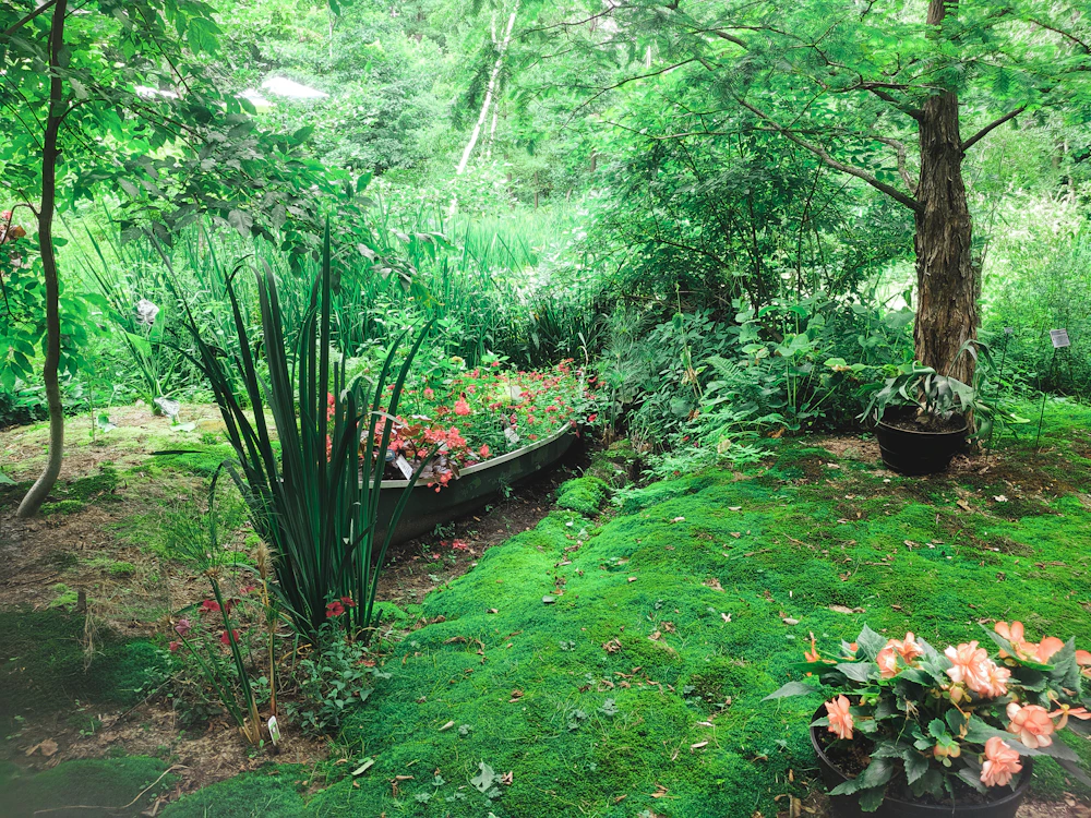 Garden and landscaping detail