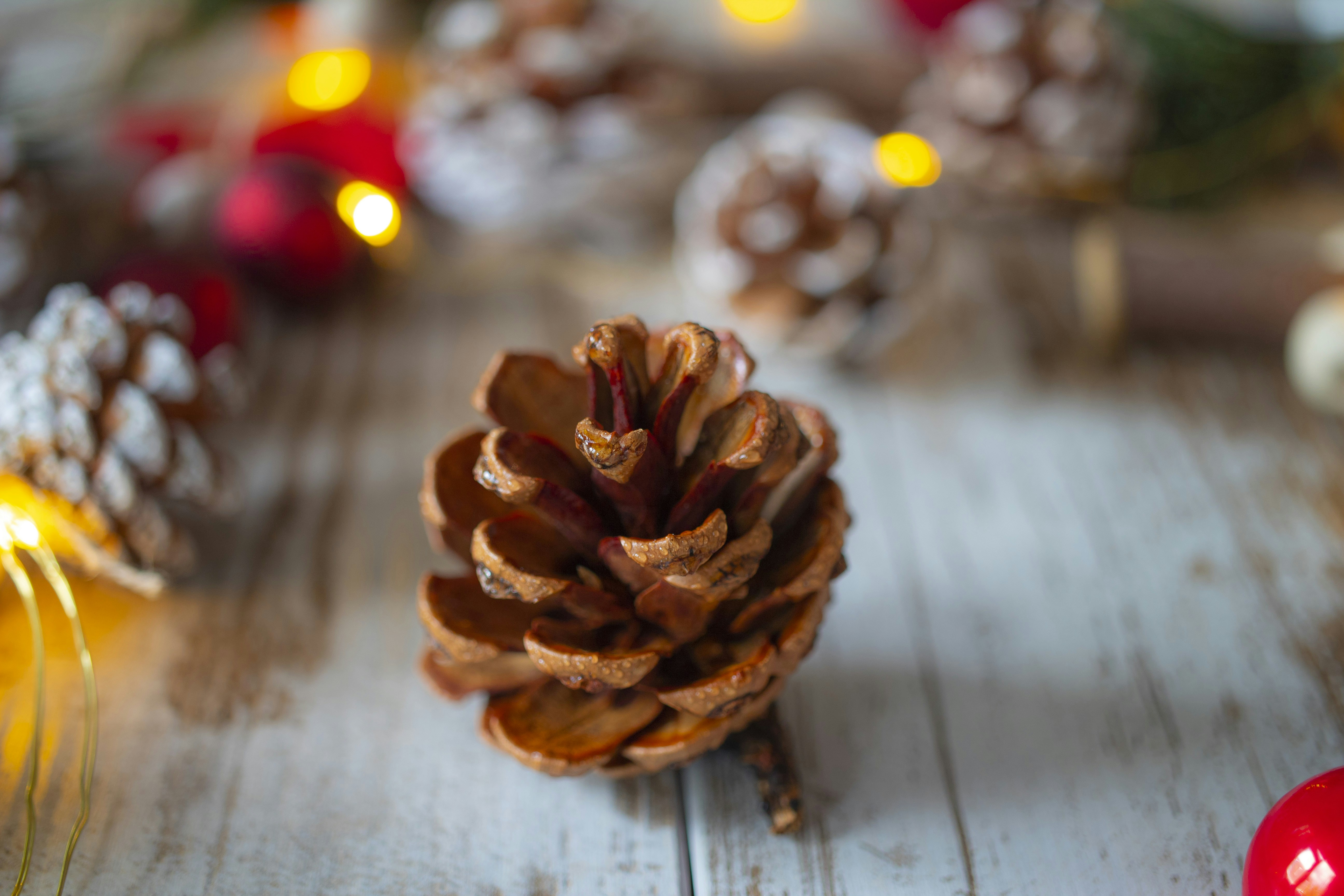 Photo by supardisign