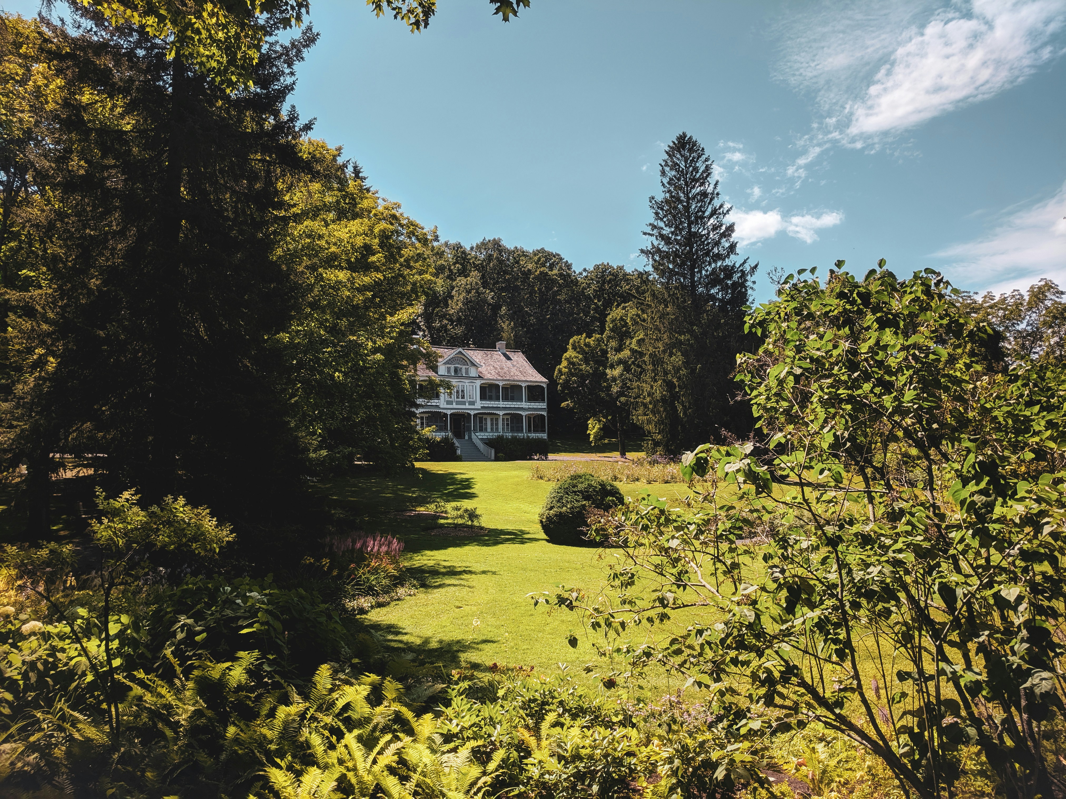 green trees and green grass field under blue sky during daytime