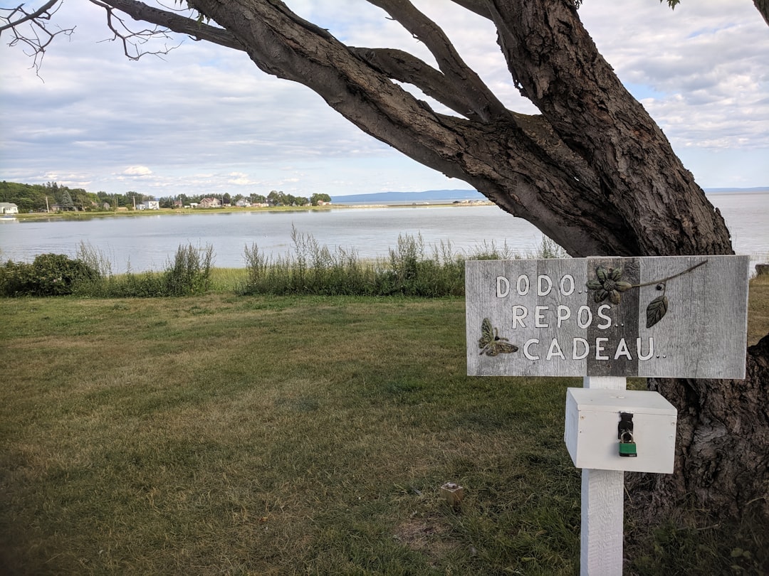 white wooden cross on green grass field near body of water during daytime