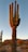A close-up of a majestic saguaro cactus standing tall against a vibrant sunset sky in the Sonoran Desert.