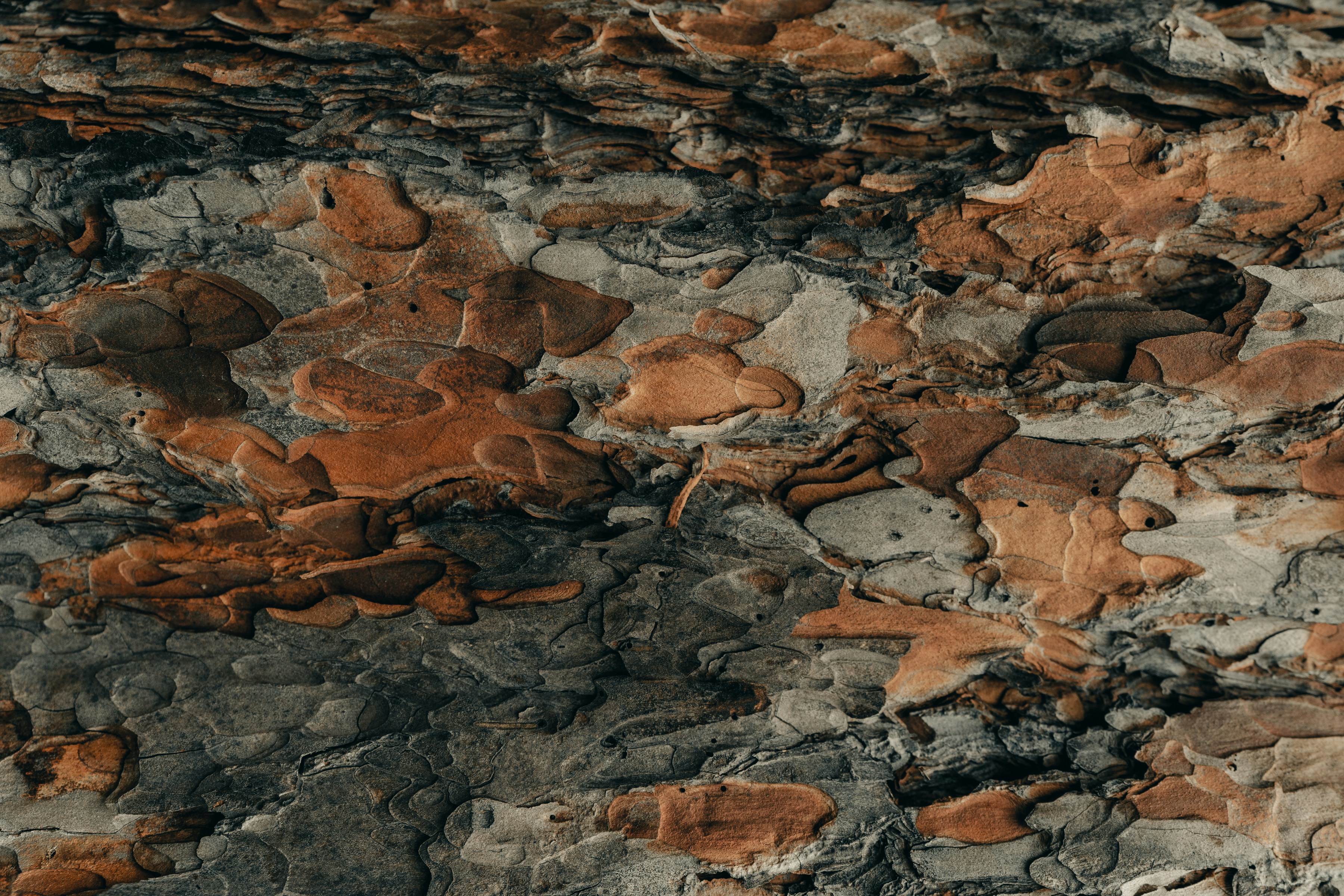 brown and gray rock formation