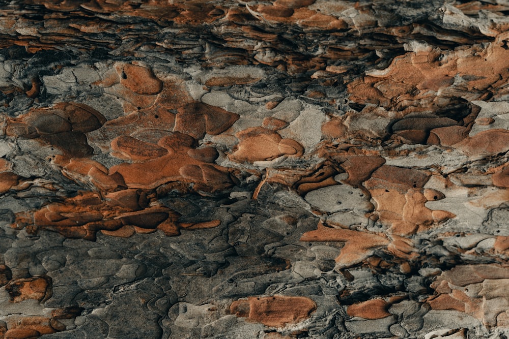 formação rochosa marrom e cinza