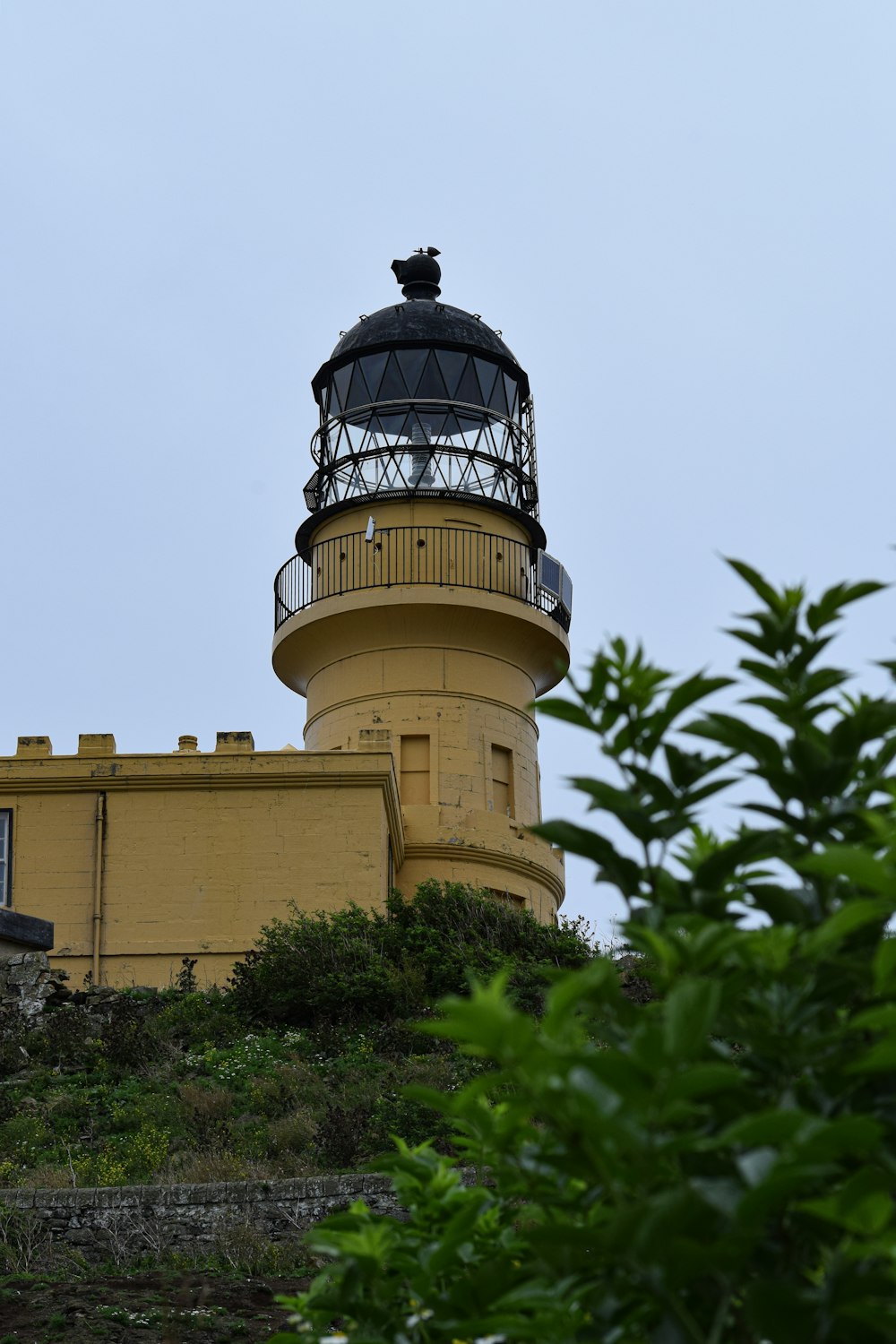 brauner Betonturm mit grünen Pflanzen