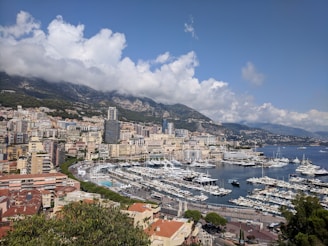 A coastal cityscape featuring a vast marina filled with yachts. High-rise buildings and residential areas are spread across the hillside, with lush green vegetation in the foreground. The background showcases mountains under a partly cloudy sky.
