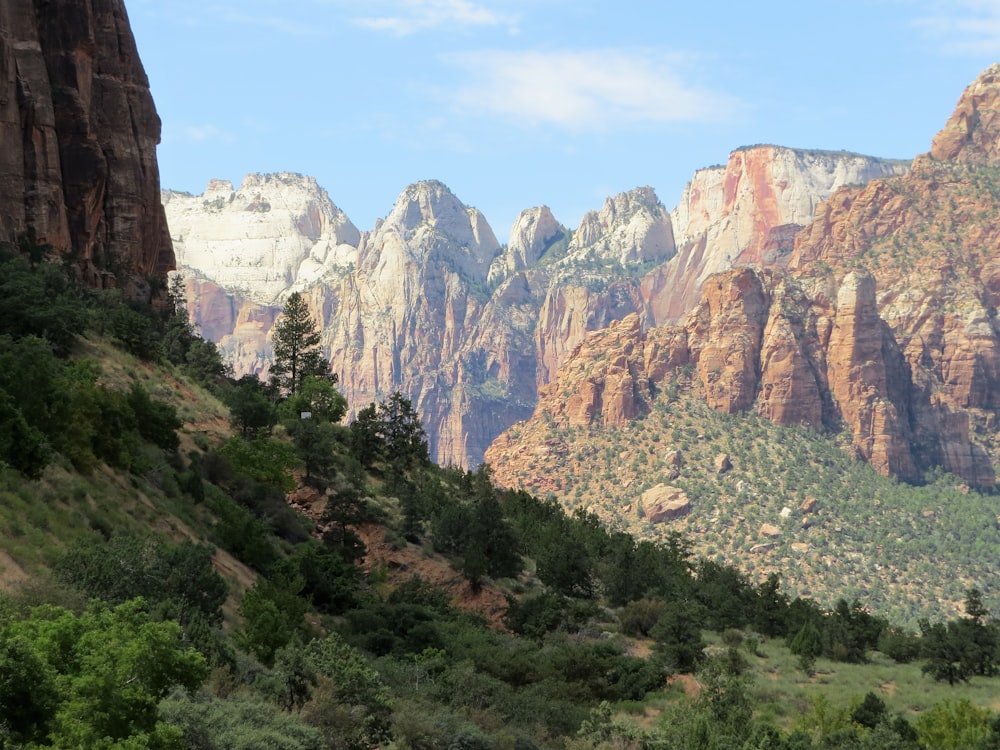 green trees and brown rocky mountains during daytime