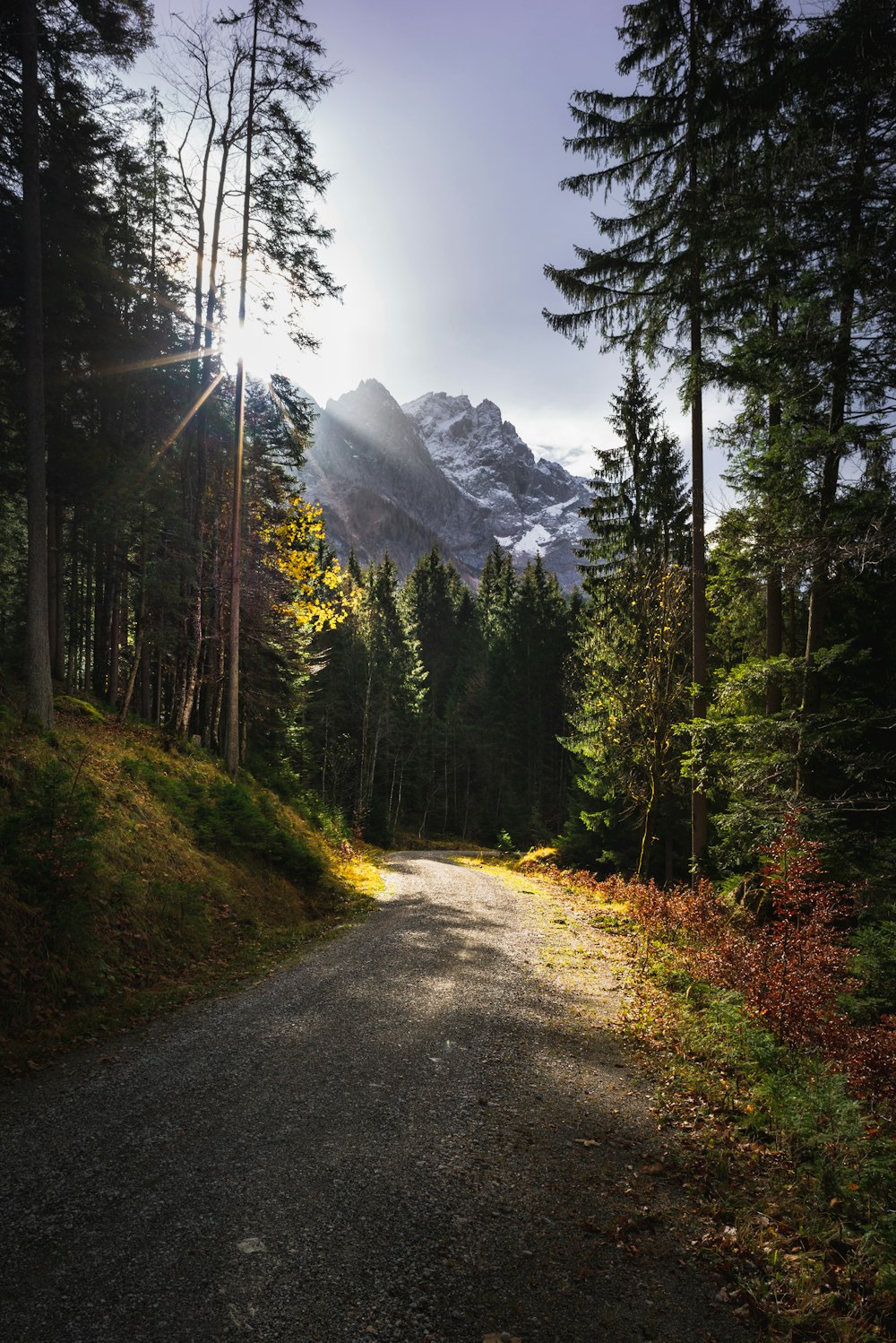 green trees near mountain under white sky during daytime