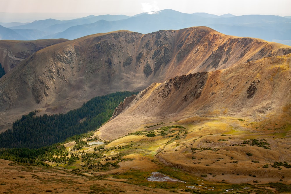 green trees on brown mountain during daytime