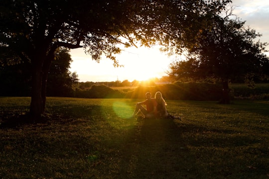 A happy couple sharing a sunset picnic in a park.