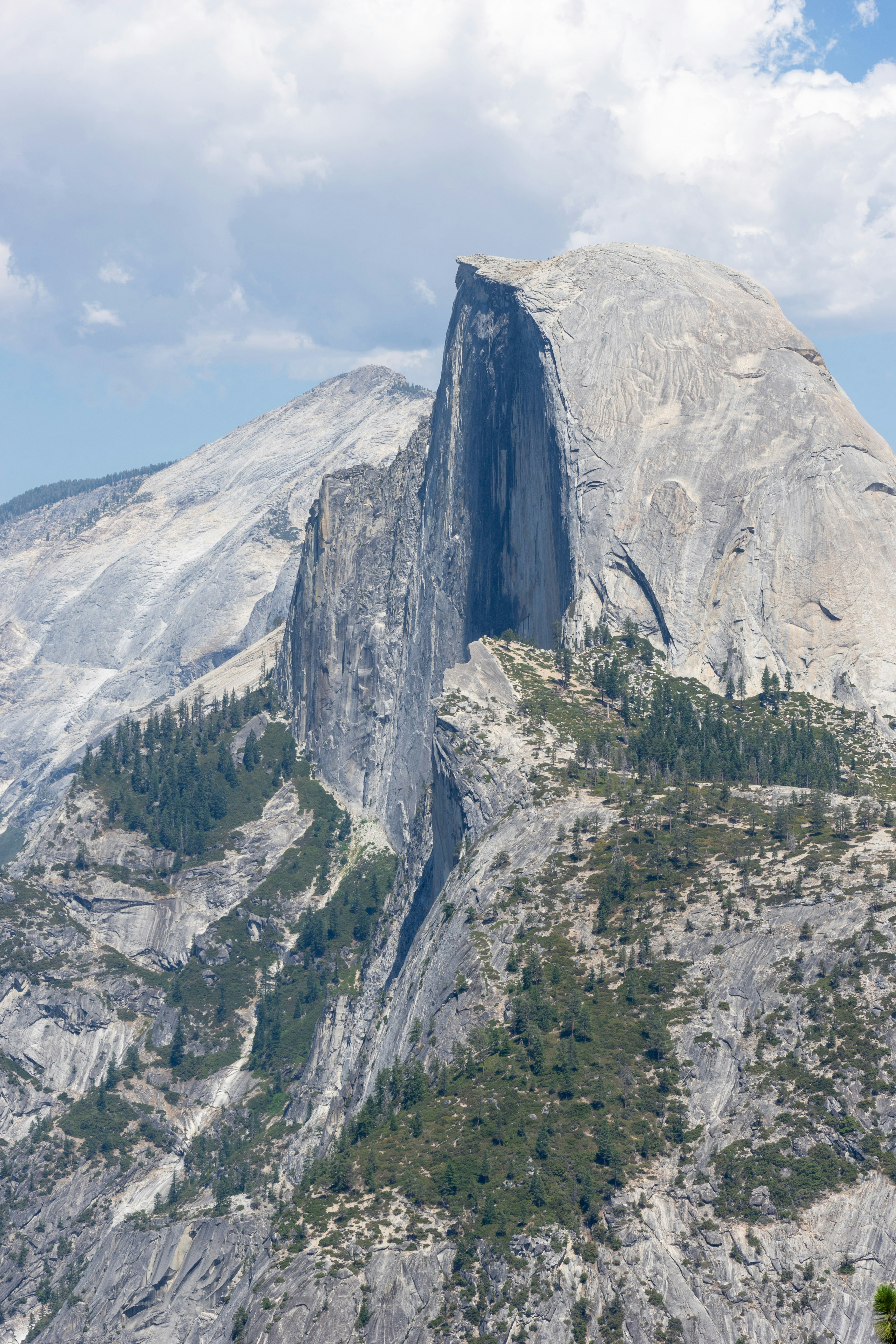 Photo by clayton_cardinalli